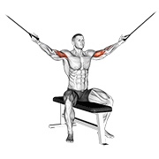 Cable Seated Overhead Curl animated exercise demonstration