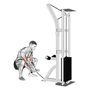 Cable Squatting Curl animated exercise demonstration
