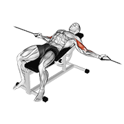 Cable Two Arm Curl On Incline Bench animated exercise demonstration