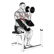 Dumbbell Alternate Hammer Preacher Curl animated exercise demonstration