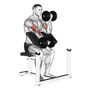 Dumbbell Alternate Preacher Curl animated exercise demonstration