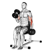Dumbbell Alternate Seated Hammer Curl animated exercise demonstration