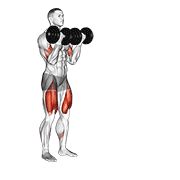 Dumbbell Bicep Curl Lunge With Bowling Motion animated exercise demonstration