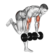 Dumbbell Bicep Curl With Stork Stance animated exercise demonstration