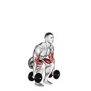 Dumbbell Biceps Curl Squat animated exercise demonstration