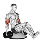 Dumbbell Biceps Curl V Sit On Bosu Ball animated exercise demonstration