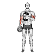 Dumbbell Cross Body Hammer Curl V. 2 animated exercise demonstration