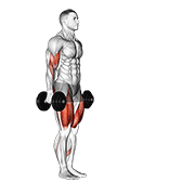 Dumbbell Lunge With Bicep Curl animated exercise demonstration