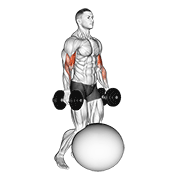 Dumbbell Kneeling Bicep Curl Exercise Ball animated exercise demonstration