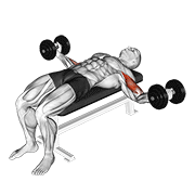 Dumbbell Lying Wide Curl animated exercise demonstration