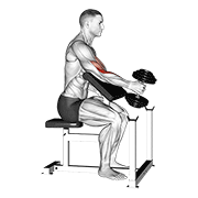Dumbbell One Arm Hammer Preacher Curl animated exercise demonstration