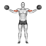 Dumbbell High Curl animated exercise demonstration