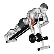Dumbbell One Arm Prone Curl animated exercise demonstration