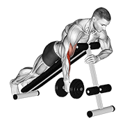 Dumbbell One Arm Prone Hammer Curl animated exercise demonstration