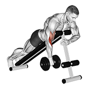 Dumbbell One Arm Reverse Spider Curl animated exercise demonstration
