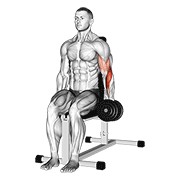 Dumbbell One Arm Seated Hammer Curl animated exercise demonstration