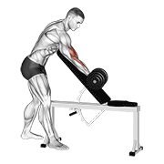 Dumbbell One Arm Zottman Preacher Curl animated exercise demonstration