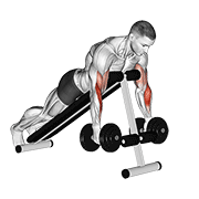 Dumbbell Prone Incline Hammer Curl animated exercise demonstration