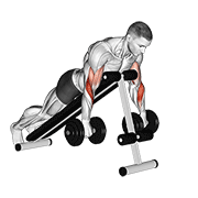 Dumbbell Reverse Spider Curl animated exercise demonstration