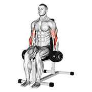 Dumbbell Seated Hammer Curl animated exercise demonstration