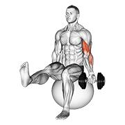 Dumbbell Seated One Arm Bicep Curl On Exercise Ball With Leg Raised animated exercise demonstration