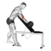 Dumbbell Standing One Arm Curl Over Incline Bench animated exercise demonstration