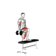 Dumbbell Step Up Single Leg Balance With Bicep Curl animated exercise demonstration