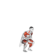 Squat To Overhead Reach animated exercise demonstration