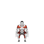Squat To Overhead Reach With Twist animated exercise demonstration