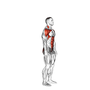 Posterior Step To Overhead Reach animated exercise demonstration