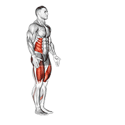 Lunge With Twist animated exercise demonstration