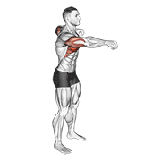 Push And Pull Bodyweight animated exercise demonstration