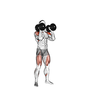 Dumbbell Push Press animated exercise demonstration