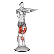 Squat On Bosu Ball animated exercise demonstration