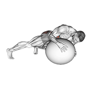 Prone Twist On Stability Ball animated exercise demonstration