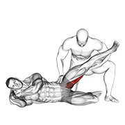 Assisted Side Lying Adductor Stretch animated exercise demonstration