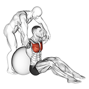 Assisted Seated Pectoralis Major Stretch With Stability Ball animated exercise demonstration