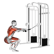 Cable Squat Row (With Rope Attachment) animated exercise demonstration