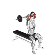 Barbell Seated Close Grip Behind Neck Triceps Extension animated exercise demonstration