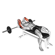 Barbell Lying Back Of The Head Tricep Extension animated exercise demonstration