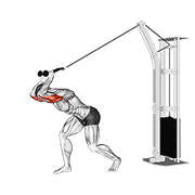 Cable High Pulley Overhead Tricep Extension animated exercise demonstration