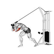 Cable Rope High Pulley Overhead Tricep Extension animated exercise demonstration