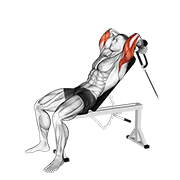 Cable Rope Incline Tricep Extension animated exercise demonstration