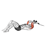 Cable Rope Lying On Floor Tricep Extension animated exercise demonstration