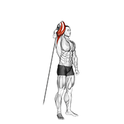 Cable Standing Reverse Grip One Arm Overhead Tricep Extension animated exercise demonstration