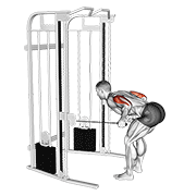 Cable Two Arm Tricep Kickback animated exercise demonstration