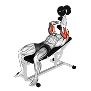 Dumbbell Lying Alternate Extension animated exercise demonstration