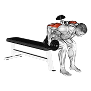 Dumbbell Seated Bent Over Alternate Kickback animated exercise demonstration
