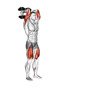 Dumbbell Forward Lunge Triceps Extension animated exercise demonstration