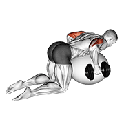 Dumbbell Kickbacks On Exercise Ball animated exercise demonstration
